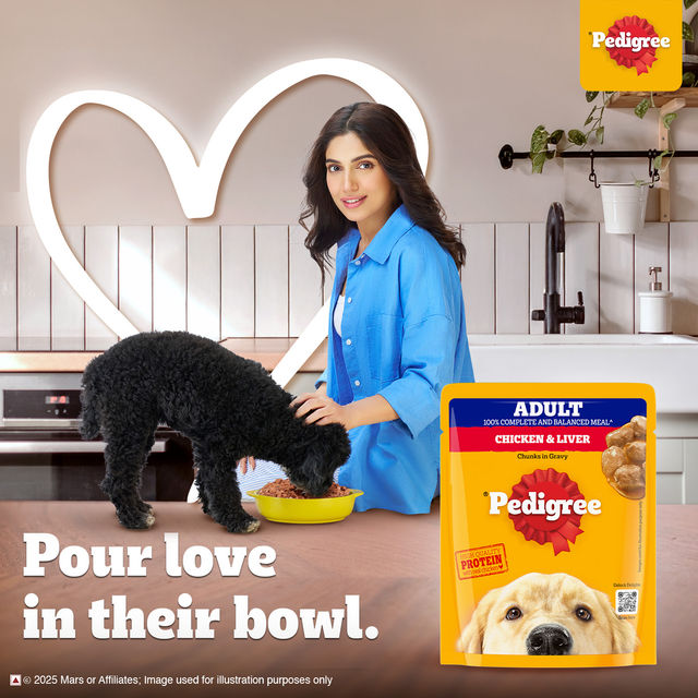 Pedigree Adult Chicken & Liver Chunks In Gravy Wet Dog Food