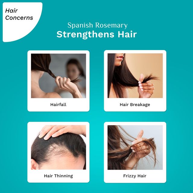 Pilgrim Spanish Rosemary Anti Hair Fall Hair Mask
