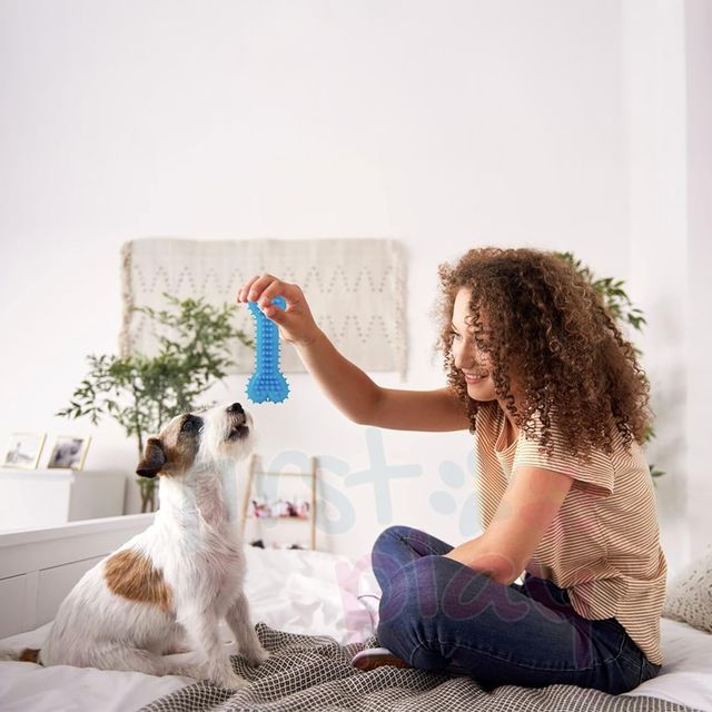 Urbanfix Pet Tether Toy Durable Rope Chew Toy for Dogs with Strong Knots - Assorted