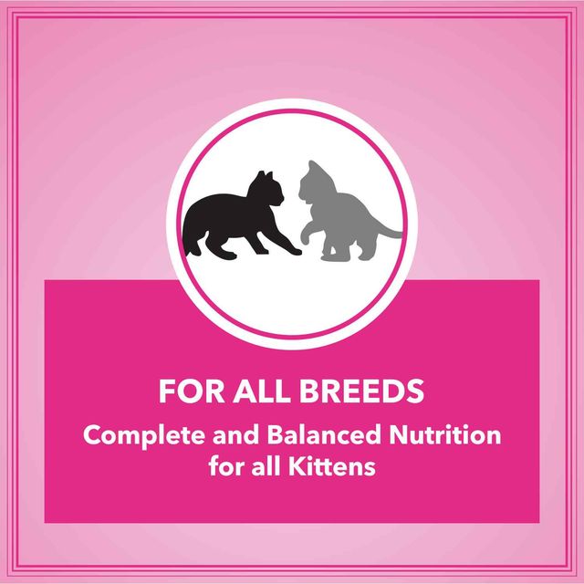 Let'S Bite Active Kitten Dry Cat Food, (Buy 1 Get 1 Free)