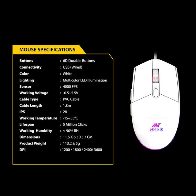 Ant Esports Km1610 Led Keyboard And Mouse Combo,104 Keys Rainbow Backlit,7 Colour Rgb Mouse, White