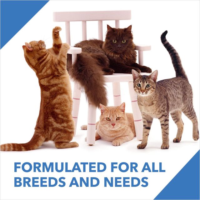 Drools Adult Complete Pet Nutrition Dry Cat Food - Ocean Fish (3 kg) With Free 1.2 kg