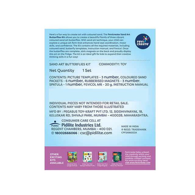 Fevicreate Surf Sand Butterflies Art & Craft Kit