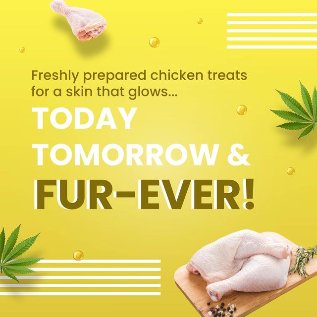 Bark Out Loud Hemp Chewstix - Skin & Coat Fresh Chicken Dog Treats