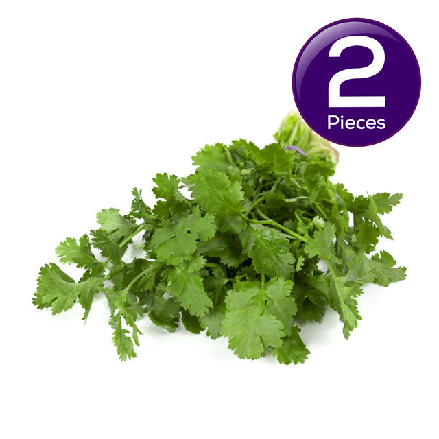 Hydroponic Coriander 100 g Combo