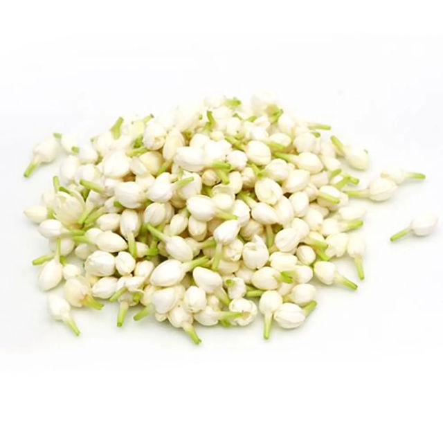 Jasmine Flower