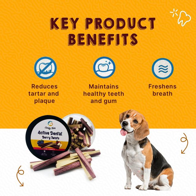 Goofy Tails Active Dental Sticks - Blueberry & Apple
