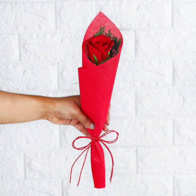 FNP Single Long Stem Red Rose