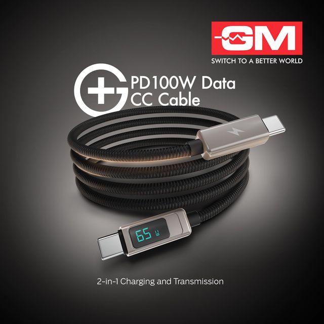 GM 100W C-C Type Charging Cable