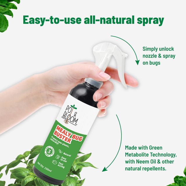Pot And Bloom Mealy Bug Buster