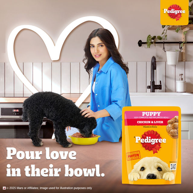 Pedigree Puppy Chicken & Liver Chunks In Gravy Wet Dog Food