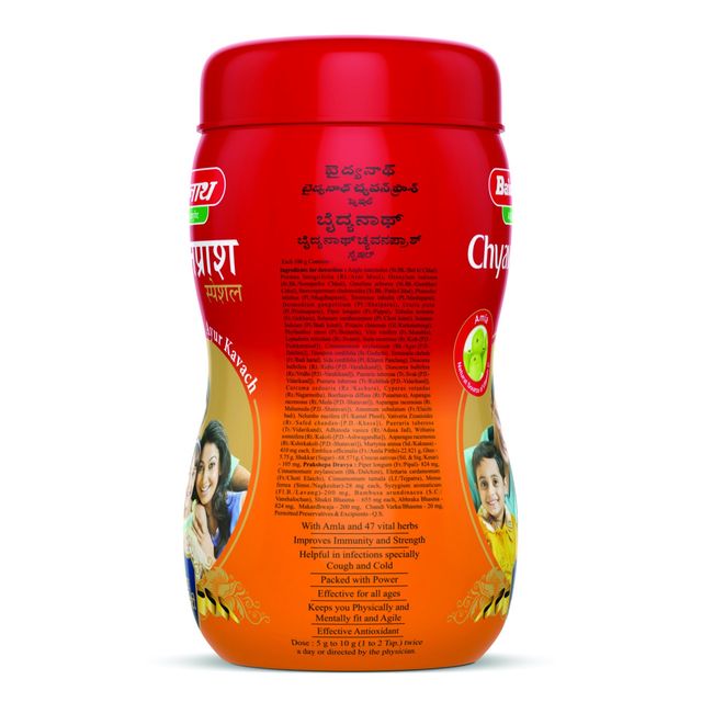 Baidyanath Chyawanparsh Special