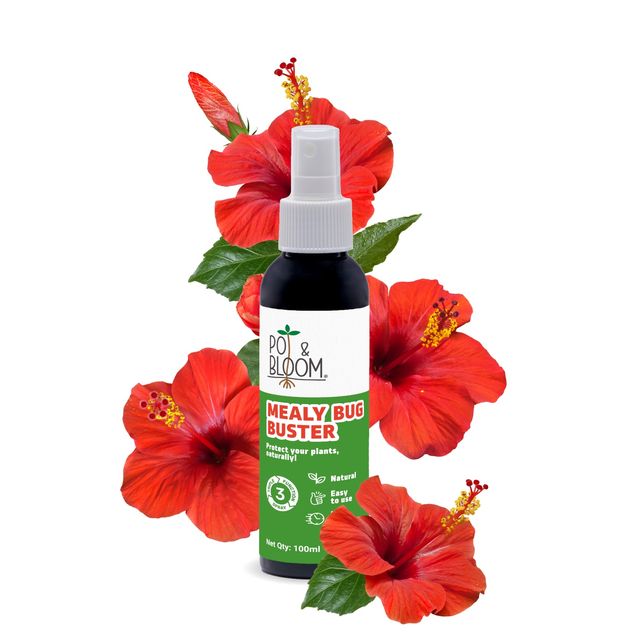 Pot And Bloom Mealy Bug Buster