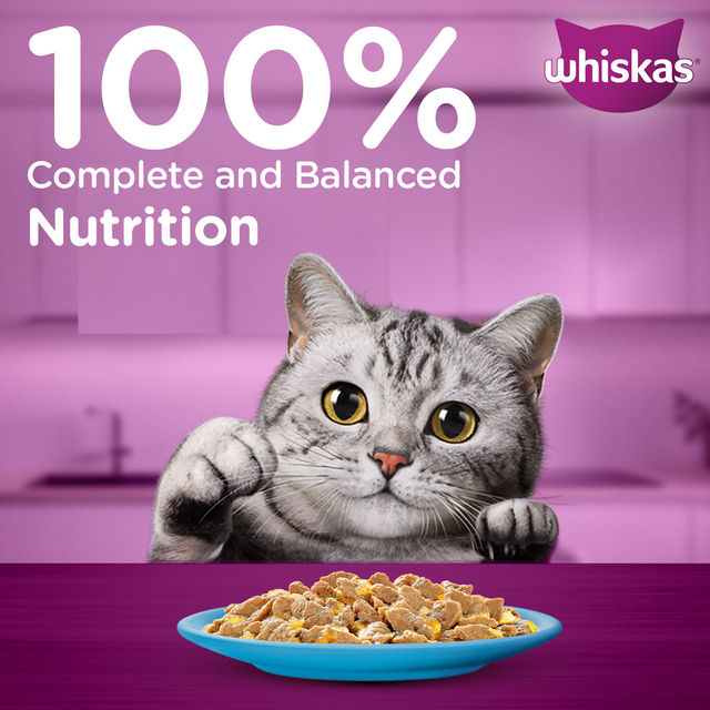 Whiskas Adult Tuna in Jelly Wet Cat Food, 80g, Pack of 3