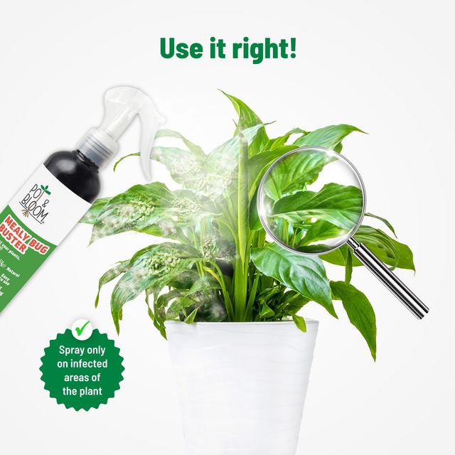 Pot And Bloom Mealy Bug Buster