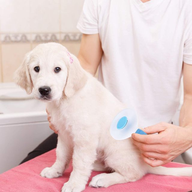 Nootie Self Cleaning Slicker Brush, Pet Grooming Shedding Brush For Dogs And Cats (Colour May Vary)