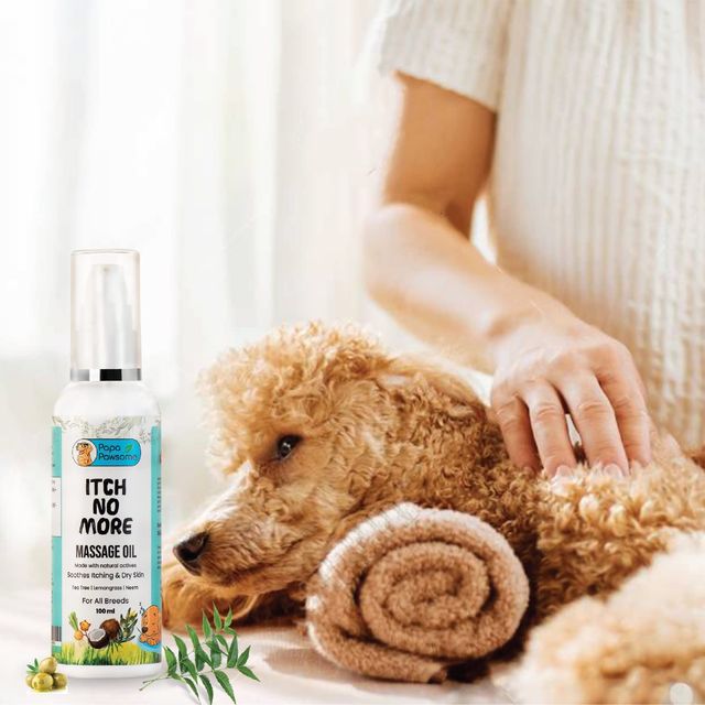 Papa Pawsome Itch No More Massage Oil for Dog