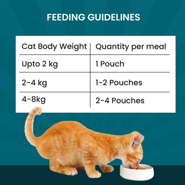 Goofy Tails Variety Pack Wet food for Cats & Kittens