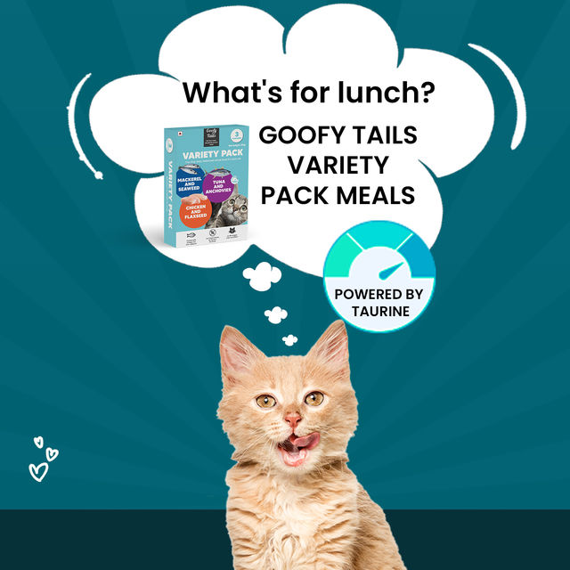 Goofy Tails Variety Pack Wet food for Cats & Kittens