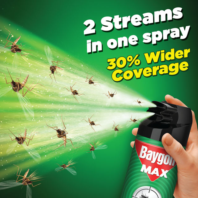 Baygon Max Mosquito and Fly Killer Spray