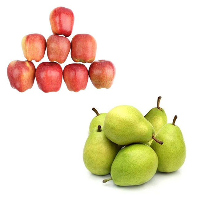571.jpg