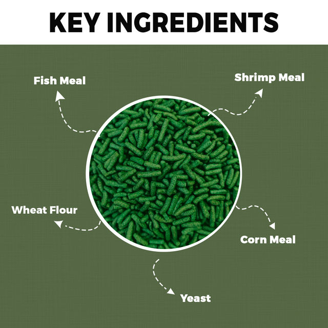 Petvit Turtle Food With Fish Meal Growth And Better Shell Health