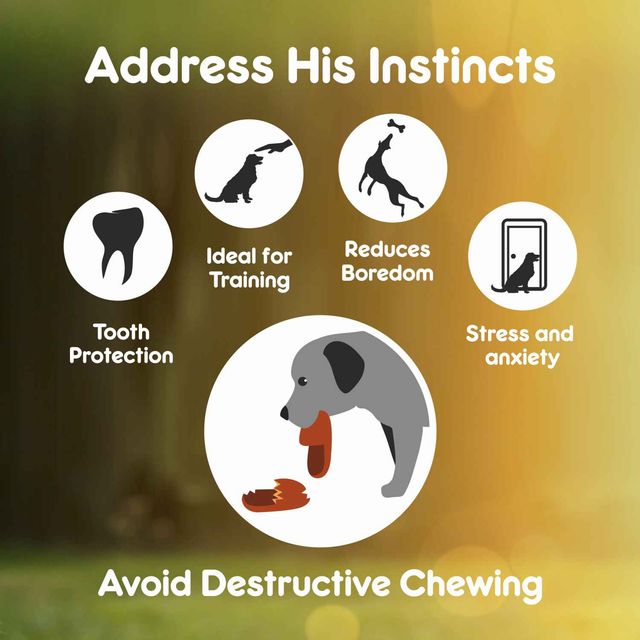 Purepet Pressed Chew Bones Dog Treats 4 Inches