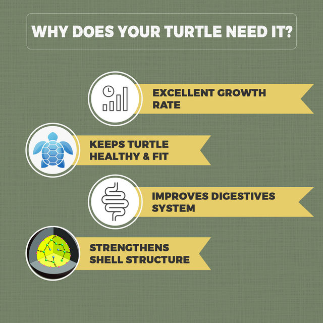 Petvit Turtle Food With Fish Meal Growth And Better Shell Health