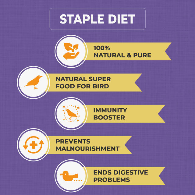 Petvit Food For Sparrow Finches Pigeon 100 % Nature & Pure
