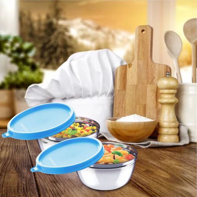 SignoraWare Mixing Bowl Steel set | Airtight | Leakproof | Set of 2 | 500ml x 2 | Blue