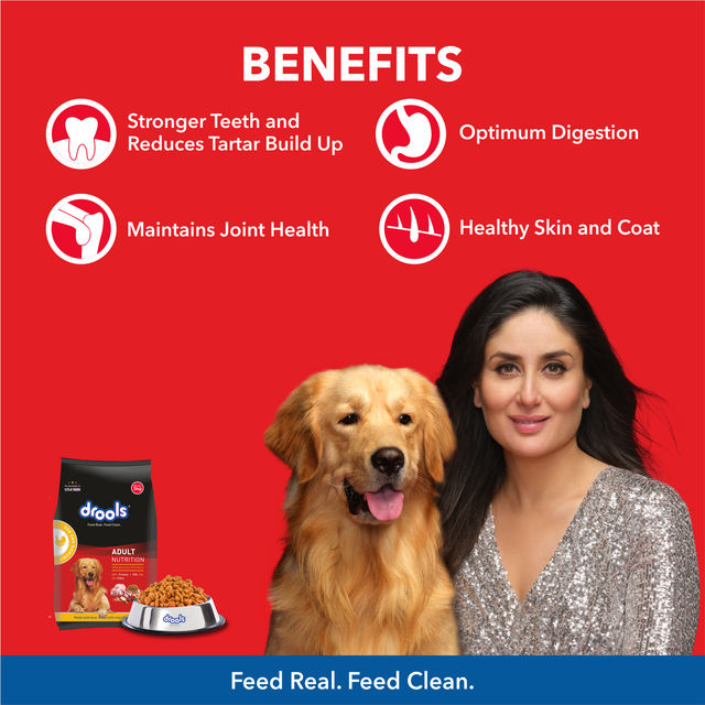 Drools Chicken And Egg Adult Dry Dog Food (3 kg) 