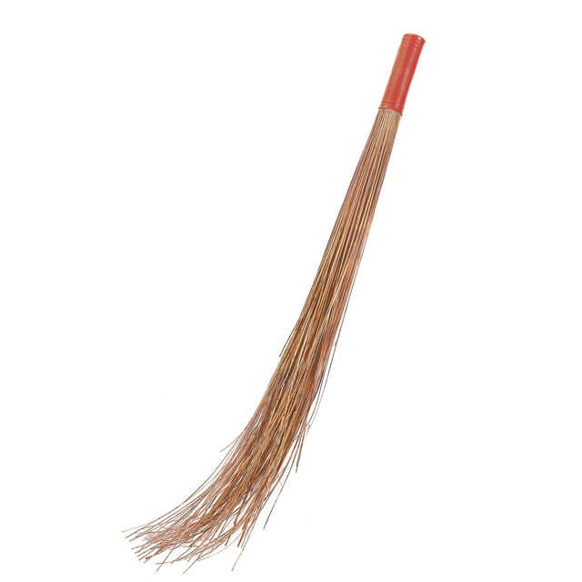DASH Coco Broom Pack Of 1 - Assorted
