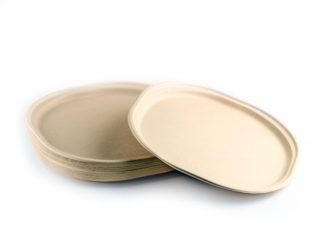 Chuk Baggase Meal Plate -12 Inch