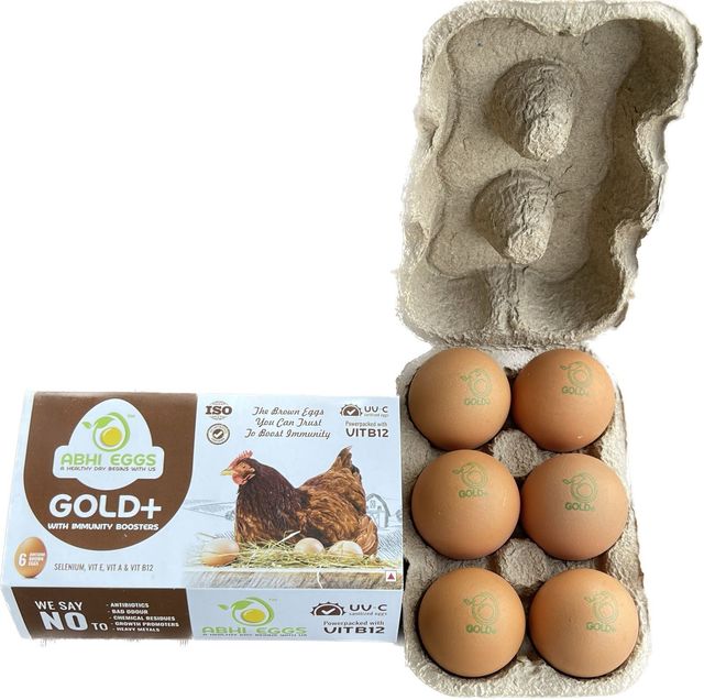 Abhi Eggs Gold + Brown Eggs with Immunity Boosters 6 pc Combo