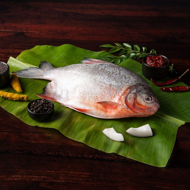 Relish Rohu Curry Cut With Head(500gms) & Relish Roopchand / Rupchanda Steaks(540gms) Combo