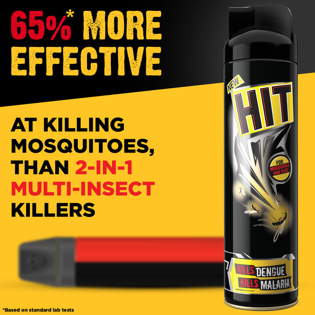 Hit Flying Mosquito & Insect Killer Spray