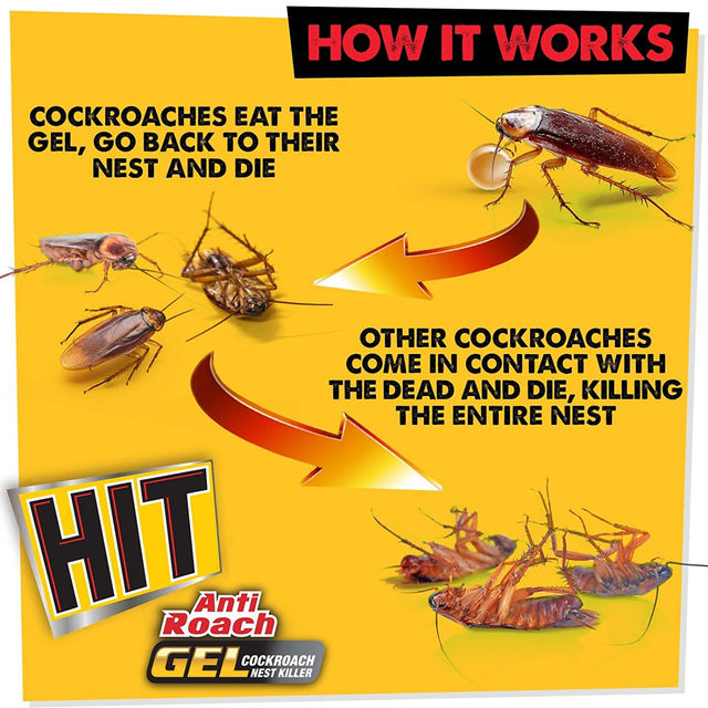 HIT Anti Roach Gel - Cockroach Killer - Fast And Convenient 20 g Combo