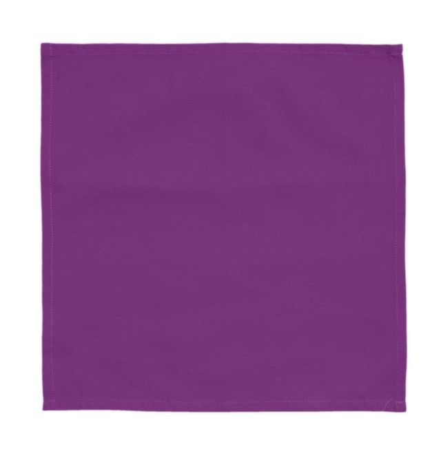 Lushomes Printed Reversible Table Placemats | 13 x 19 inch | Table Napkins 16 x 16 inch