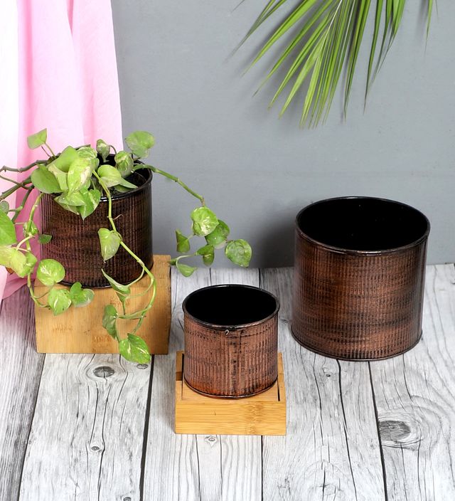 Amaya Decors Copper Small Striped Planter Set Of 3