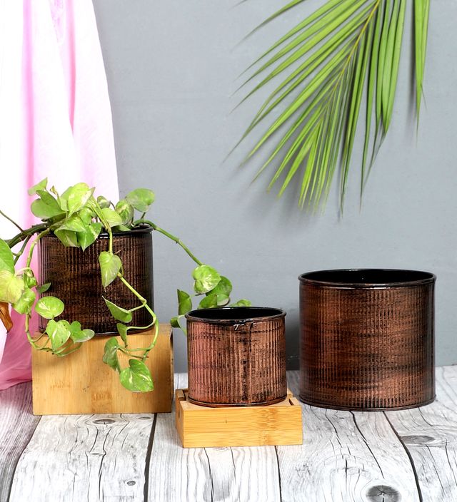 Amaya Decors Copper Small Striped Planter Set Of 3