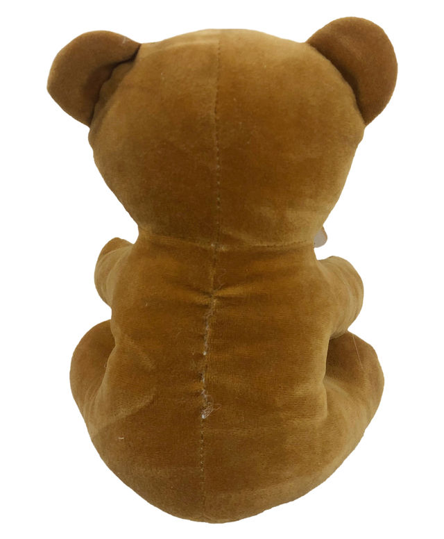 Sterling Sitting Teddy Brown 7 Inch(1pc) & Engage Femme Eau De Parfum For Women, Citrus And Floral Fragrance Scent(100ml) Combo