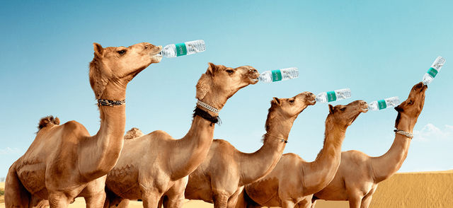 Bisleri Mineral Water Bottle -  2 L Combo