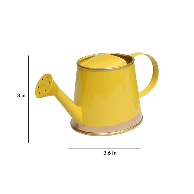 Casacraft by Pepperfry Gardening Watering Can | 250 ml
