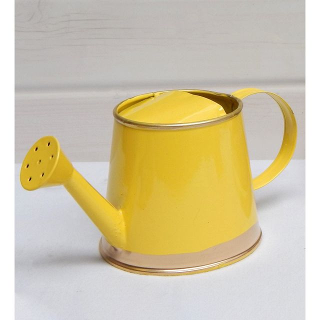 Casacraft by Pepperfry Gardening Watering Can | 250 ml