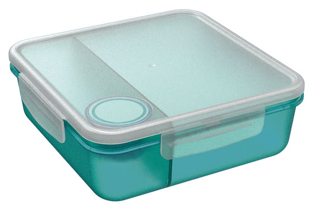All Time Salad Lunch Box With Dip Container | 1450 ml (Colour May Vary)