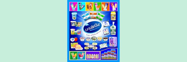 Ponlait Special Toned Fresh Milk - Green