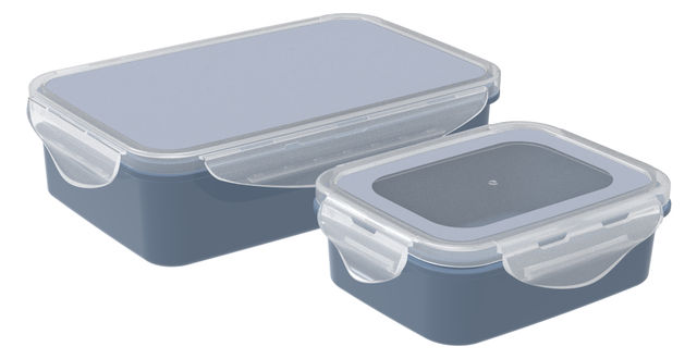 All Time Lock & Safe Storage Containers Set Of 2, (1250 Ml X 1, 350 Ml X 1 ) (Colour May Vary)
