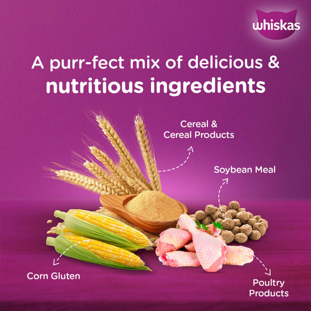 Whiskas Adult Chicken Flavour Dry Cat Food