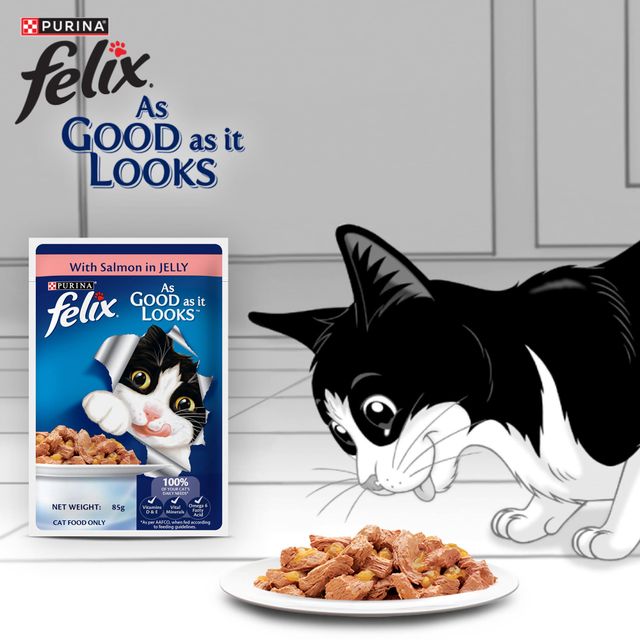 Purina Felix with Salmon in Jelly | Wet Food for Adults | Complete and Balanced Adult Food