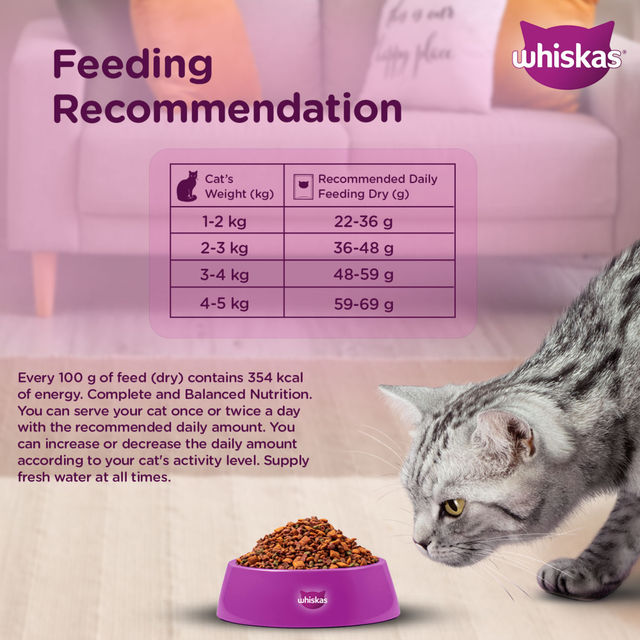 Whiskas Adult Chicken Flavour Dry Cat Food